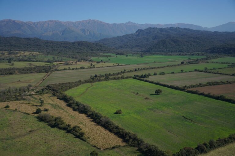 Campo agrícola en una zona extrapampeana de Argentina