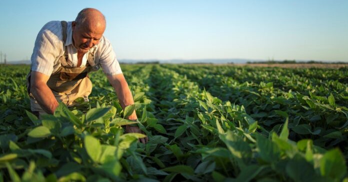 Campo agrícola en Michigan con tierras de cultivo