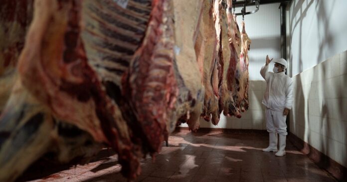 Cortes de carne vacuna en una carnicería